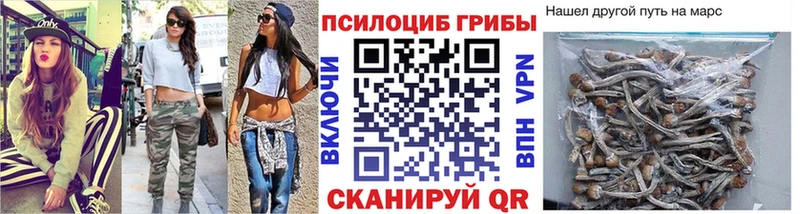 что такое наркотик  Тайга  Псилоцибиновые грибы мицелий 