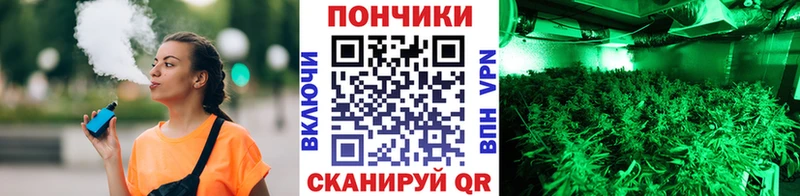 блэк спрут ссылка Тайга Шишки марихуана Amnesia